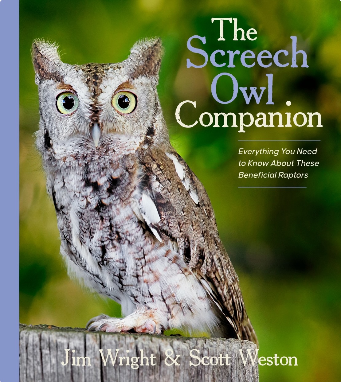 Screech-owl Pellet  The Michigan Nature Guy's Blog